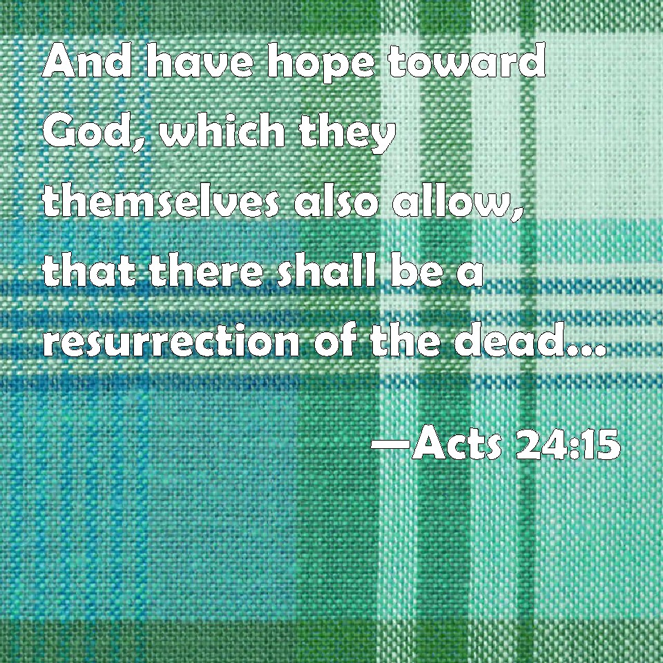 acts-24-15-and-have-hope-toward-god-which-they-themselves-also-allow