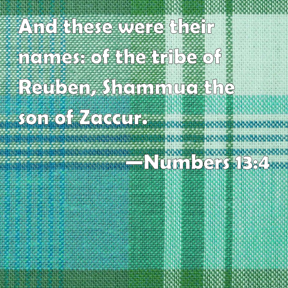 numbers-13-4-and-these-were-their-names-of-the-tribe-of-reuben-shammua-the-son-of-zaccur