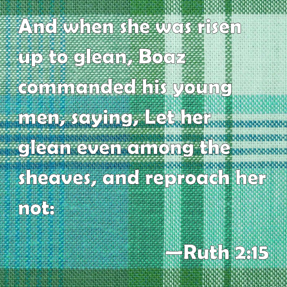 Ruth 2:15 And when she was risen up to glean, Boaz commanded his young ...