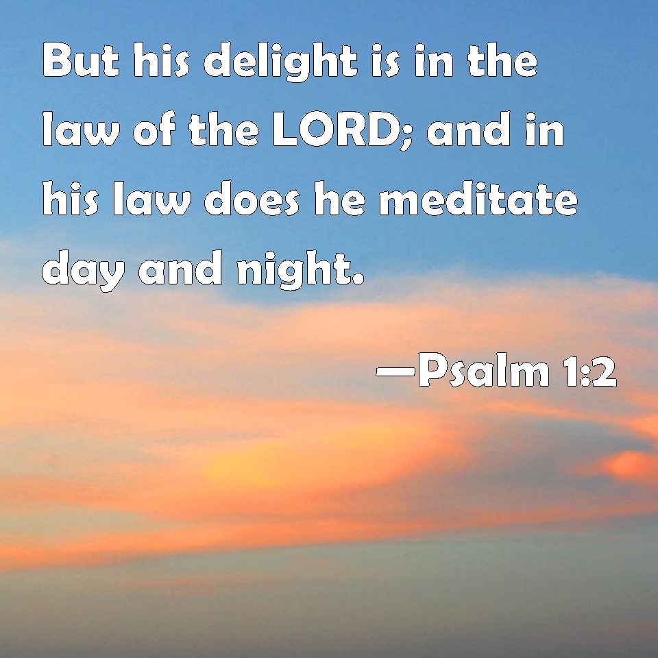Psalm 1:2 But his delight is in the law of the LORD; and in his law ...