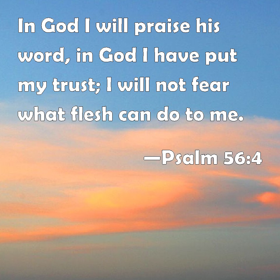 Psalm 56 4 In God I Will Praise His Word In God I Have Put My Trust I 