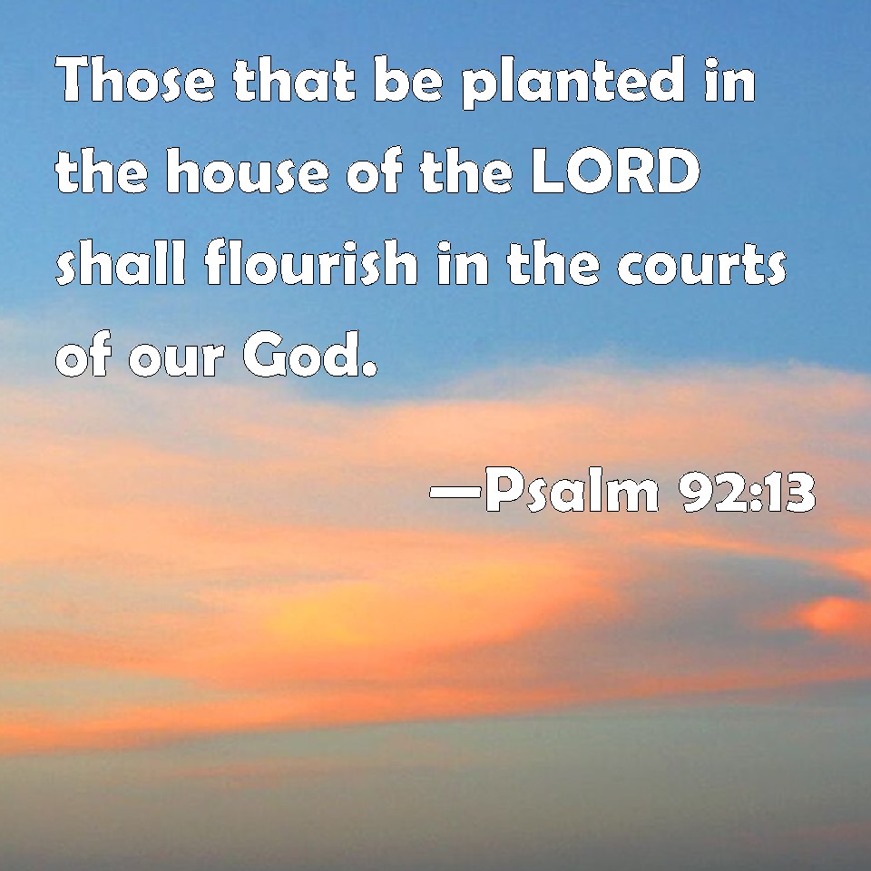 psalm-92-13-those-that-be-planted-in-the-house-of-the-lord-shall