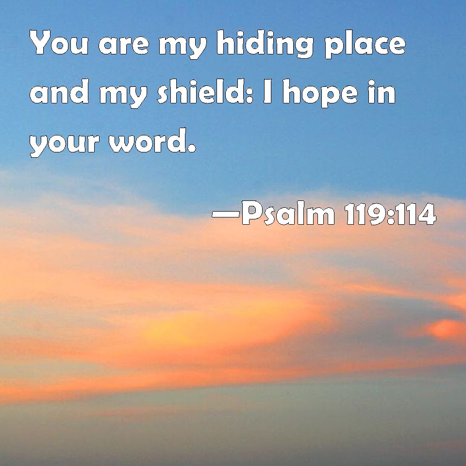 psalm-119-114-you-are-my-hiding-place-and-my-shield-i-hope-in-your-word