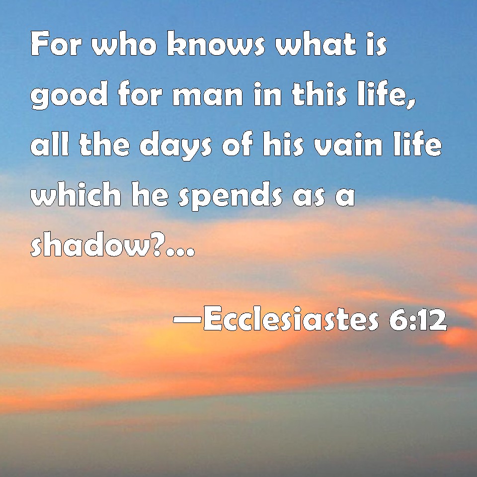 Ecclesiastes 6:12 For who knows what is good for man in this life, all