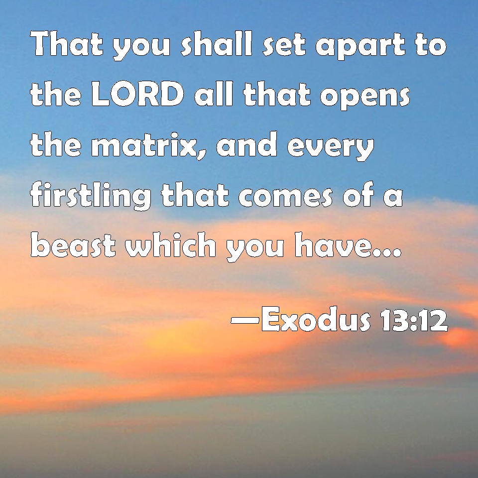 Exodus 13:12 That you shall set apart to the LORD all that opens the ...