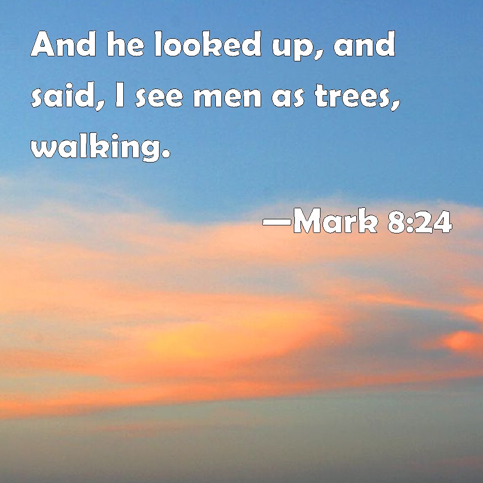 mark-8-24-and-he-looked-up-and-said-i-see-men-as-trees-walking