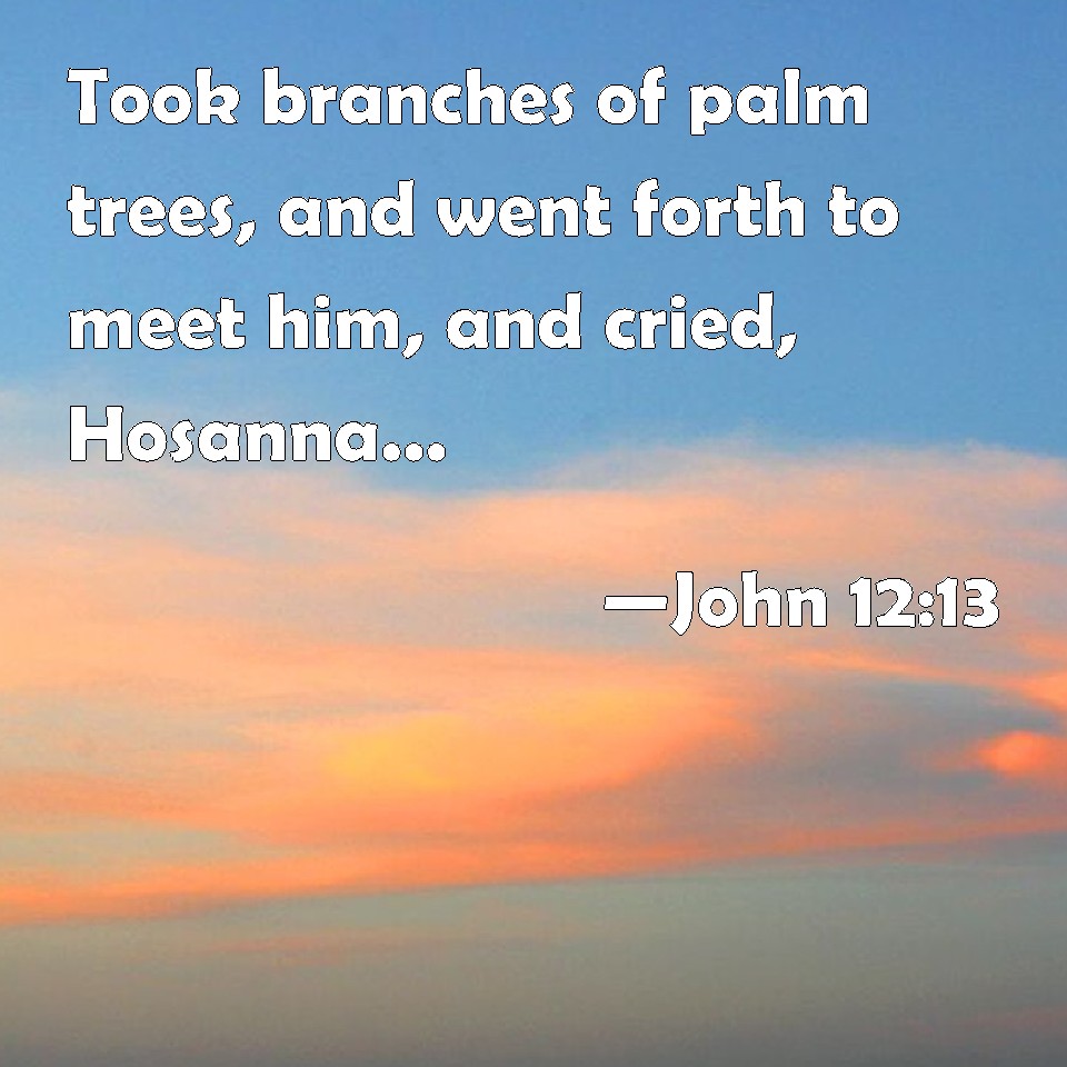 John 1213 Took Branches Of Palm Trees And Went Forth To Meet Him And