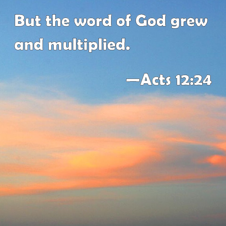 acts-12-24-but-the-word-of-god-grew-and-multiplied