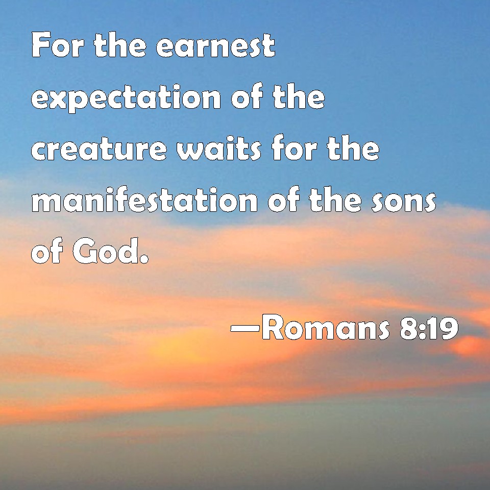 Romans 8:19 For the earnest expectation of the creature waits for the ...