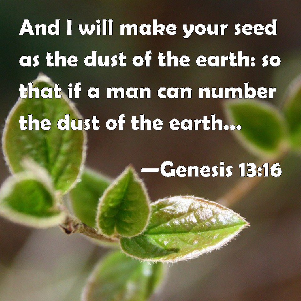 Genesis 13 16 And I Will Make Your Seed As The Dust Of The Earth So   0335 