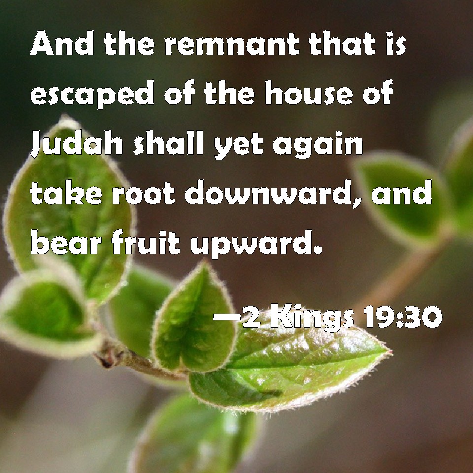 2 Kings 19:30 And the remnant that is escaped of the house of Judah shall  yet again take root downward, and bear fruit upward.