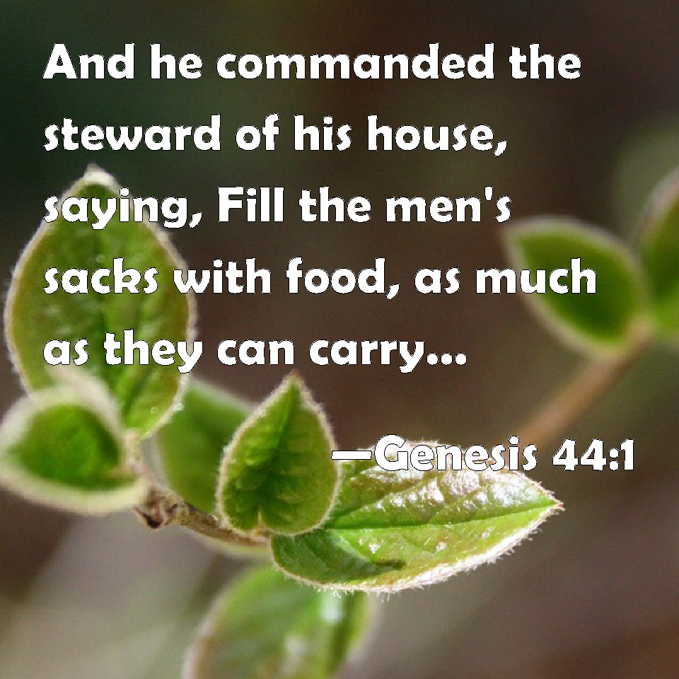 Genesis 44:1 And he commanded the steward of his house, saying, Fill ...