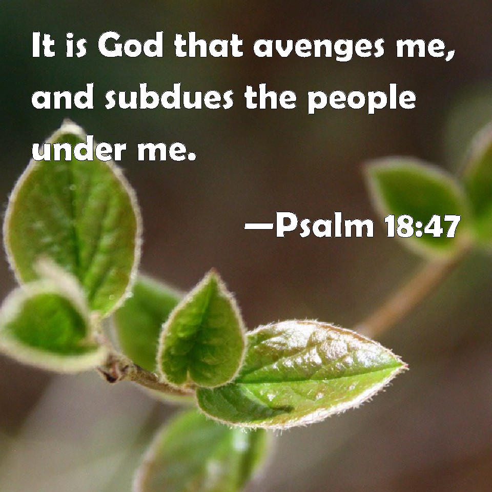 psalm-18-47-it-is-god-that-avenges-me-and-subdues-the-people-under-me