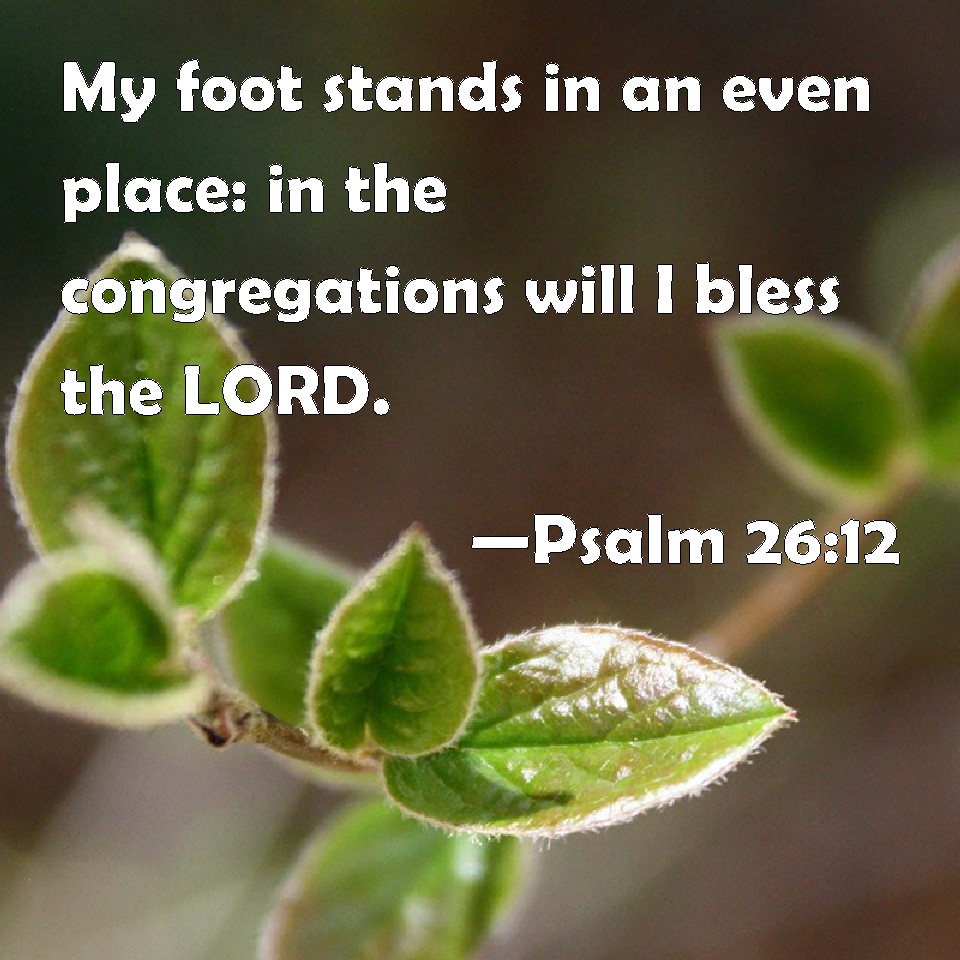 Psalm 26:12 My Foot Stands In An Even Place: In The Congregations Will ...