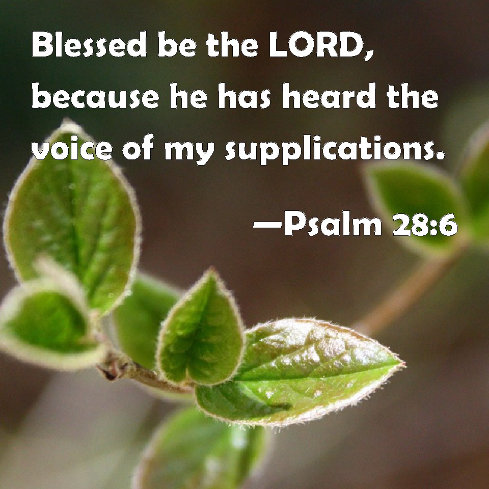 psalm-28-6-blessed-be-the-lord-because-he-has-heard-the-voice-of-my