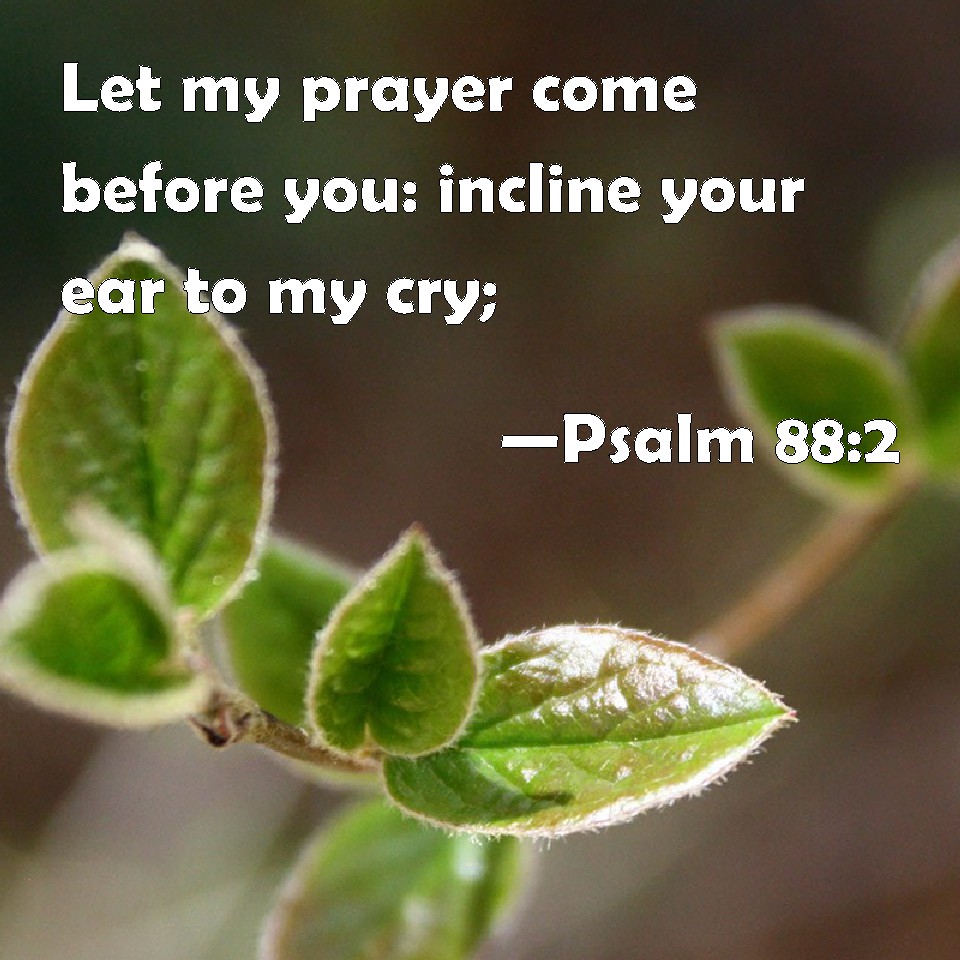 Psalm 88 2 Let My Prayer Come Before You Incline Your Ear To My Cry 