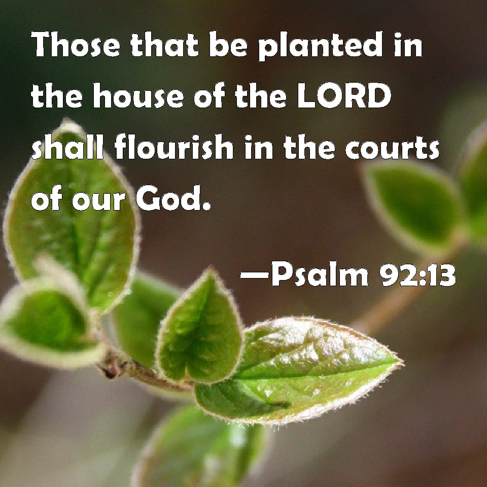 psalm-92-13-those-that-be-planted-in-the-house-of-the-lord-shall