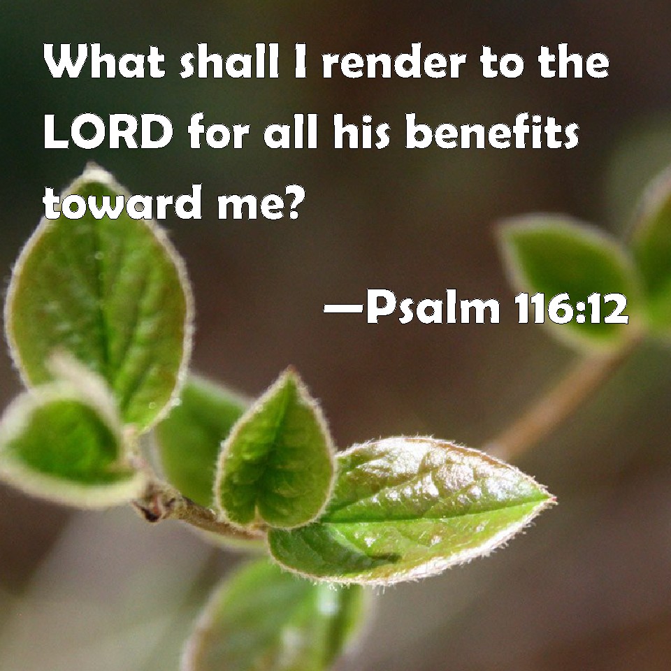 Psalm 116 12 What Shall I Render To The LORD For All His Benefits 
