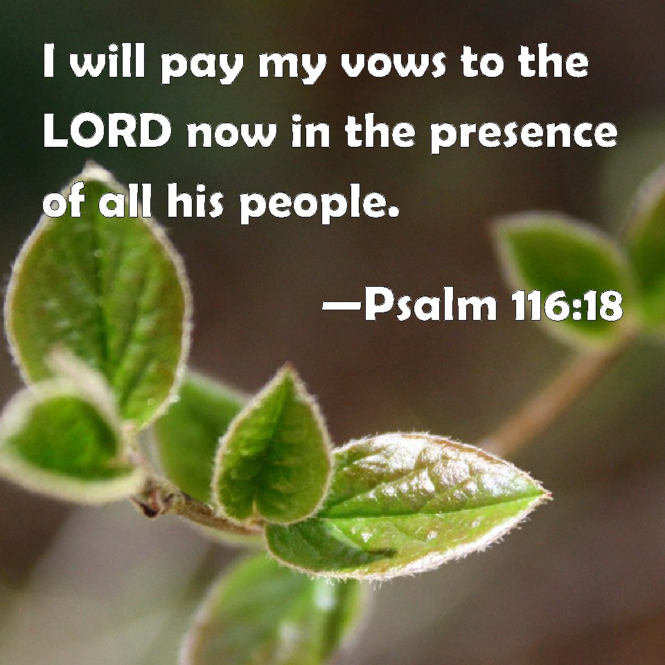 psalm-116-18-i-will-pay-my-vows-to-the-lord-now-in-the-presence-of-all