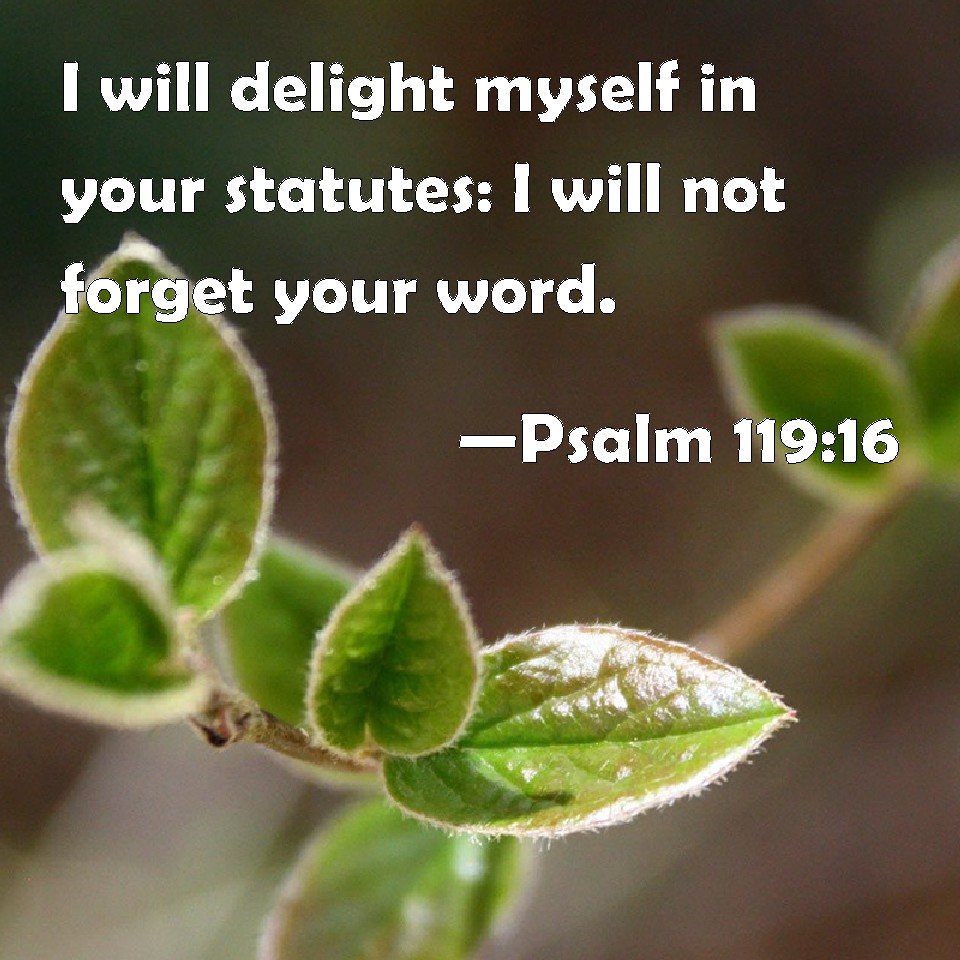 psalm-119-16-i-will-delight-myself-in-your-statutes-i-will-not-forget