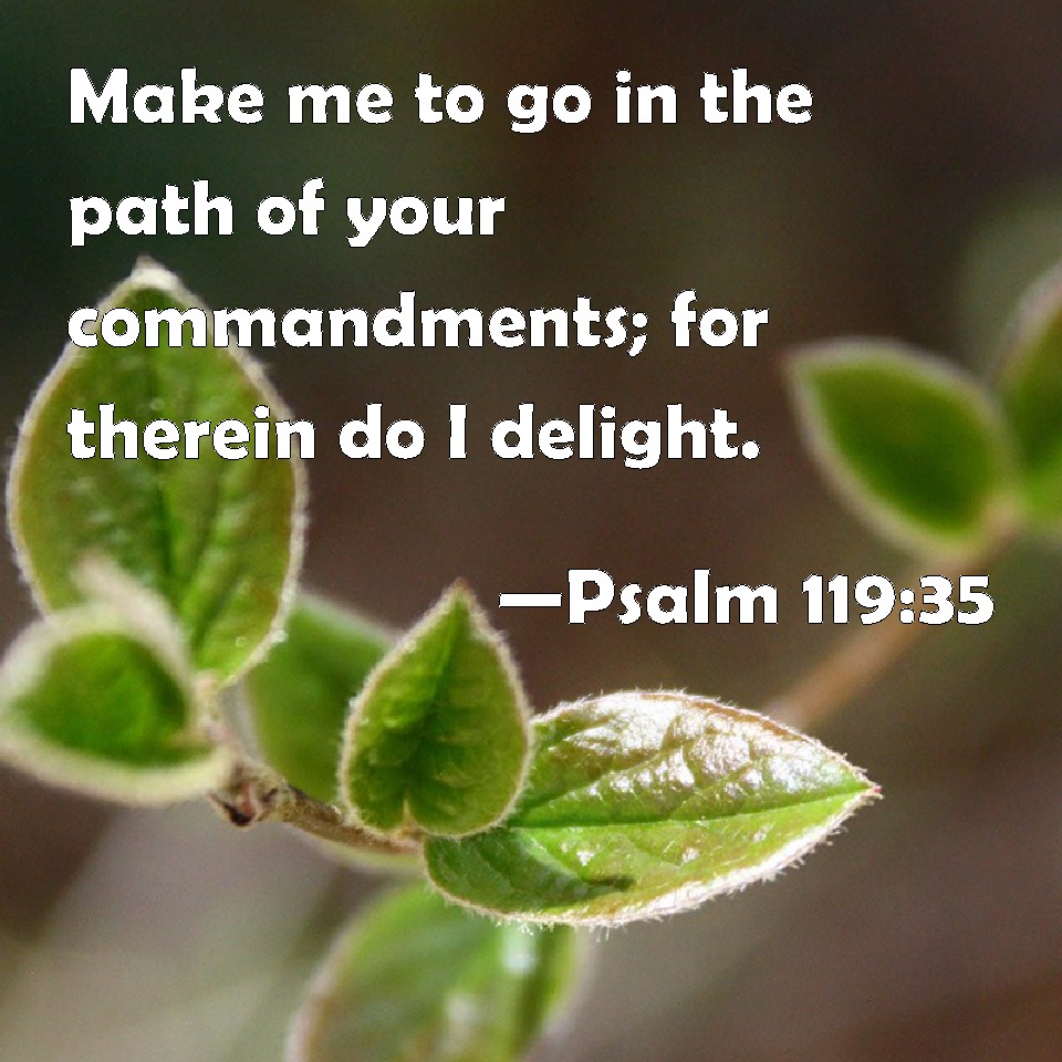 psalm-119-35-make-me-to-go-in-the-path-of-your-commandments-for