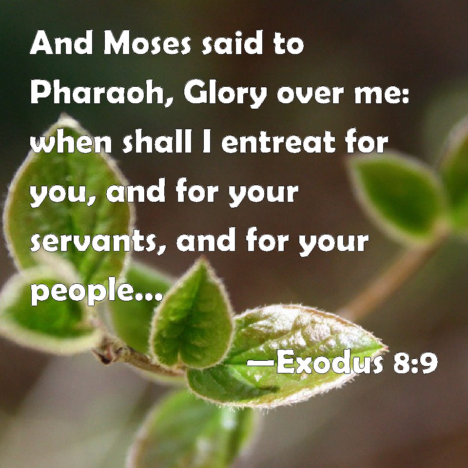 Exodus 8:9 And Moses said to Pharaoh, Glory over me: when shall I ...