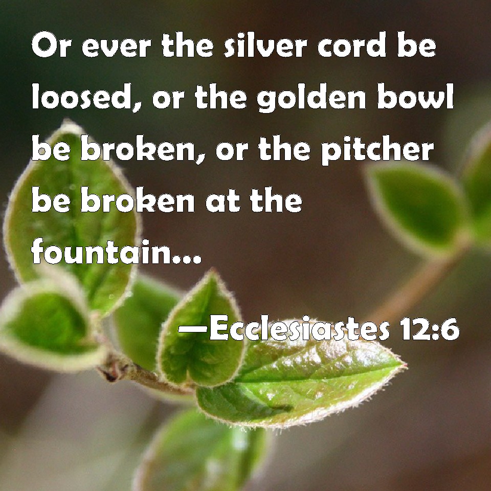 Ecclesiastes 12 6 Or Ever The Silver Cord Be Loosed Or The Golden Bowl 