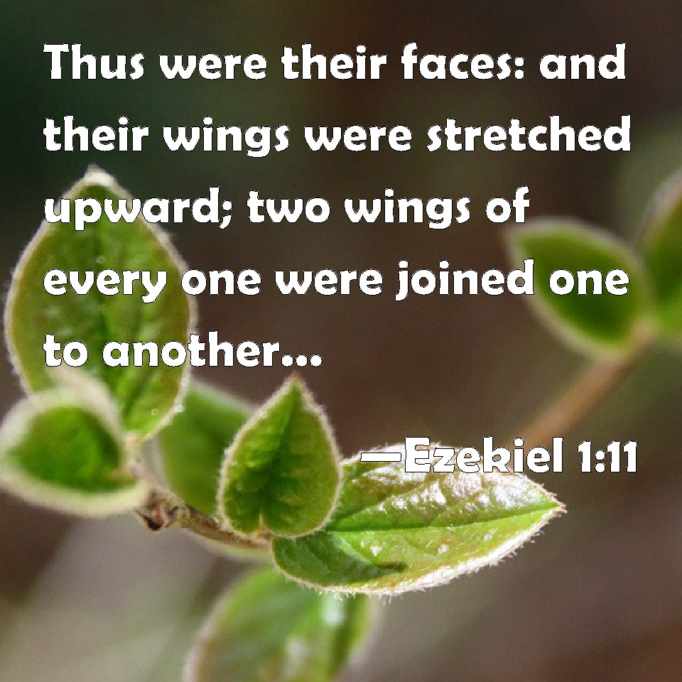 ezekiel-1-11-thus-were-their-faces-and-their-wings-were-stretched