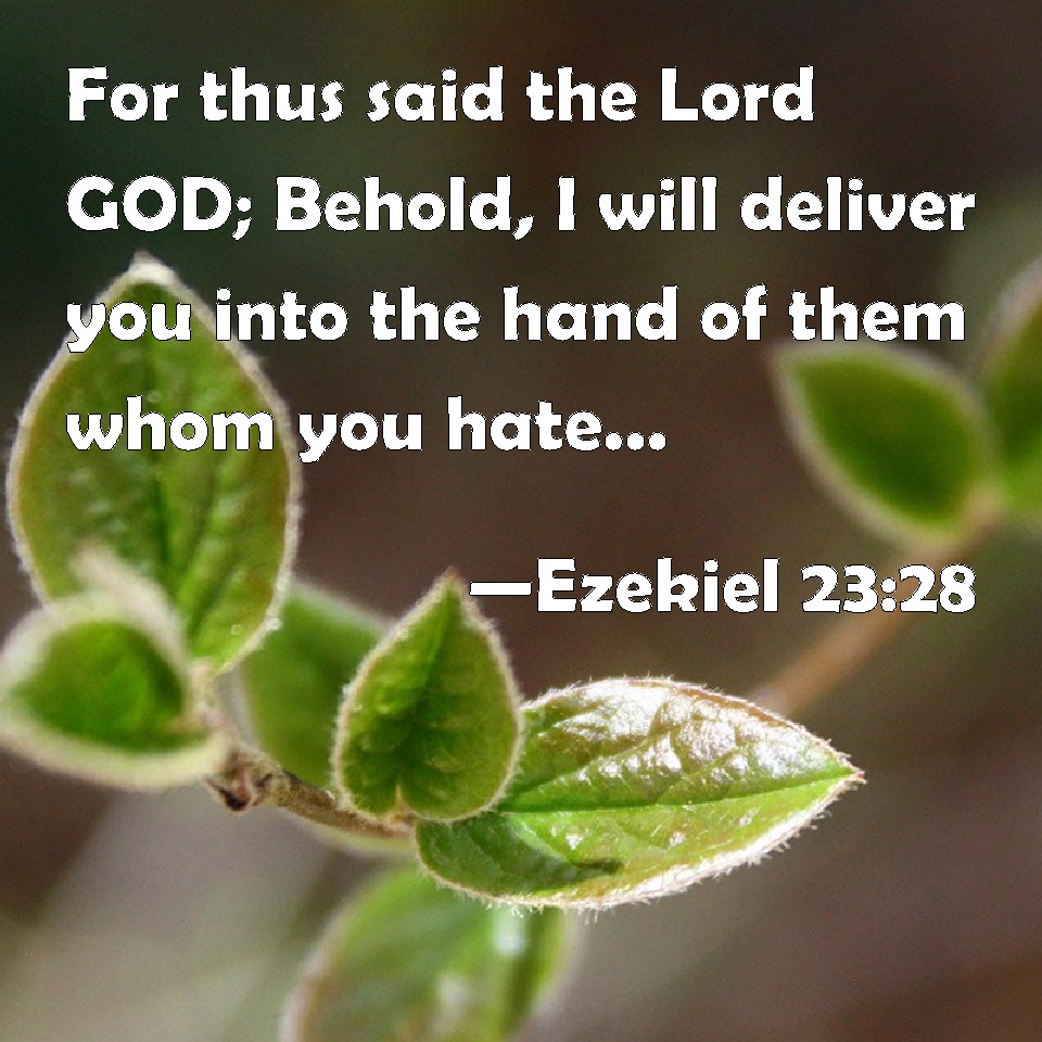 Image result for ezekiel 23:28
