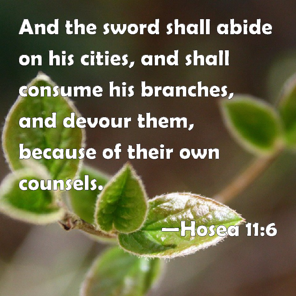 Hosea 11:6 And the sword shall abide on his cities, and shall consume his  branches, and devour them, because of their own counsels.