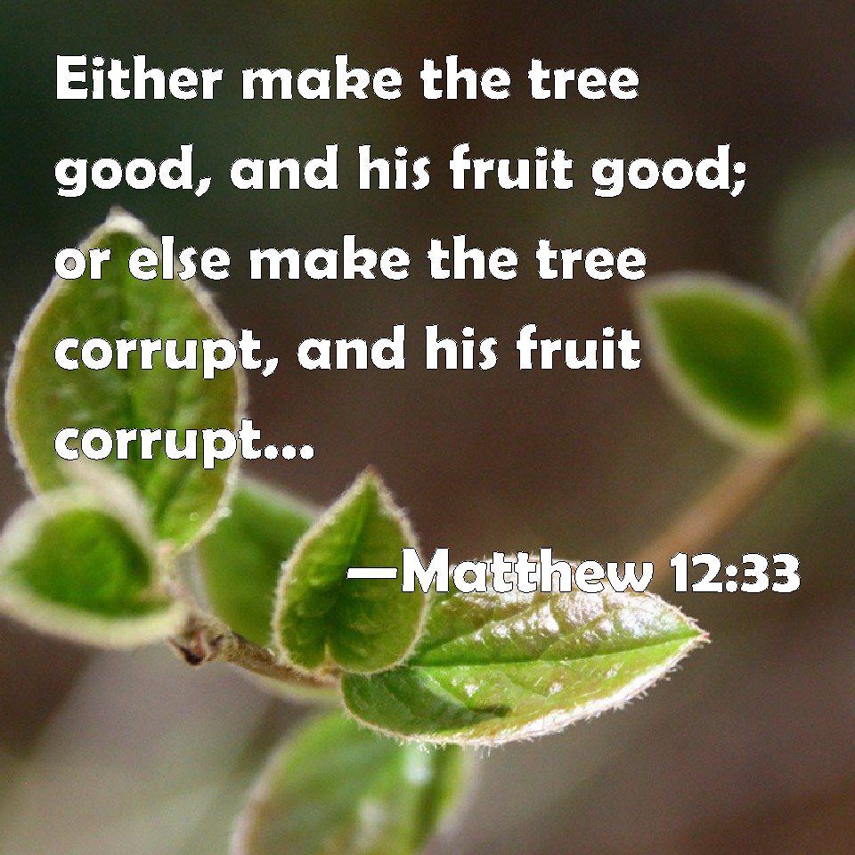 Matthew 12:33 Either make the tree good, and his fruit good; or else ...