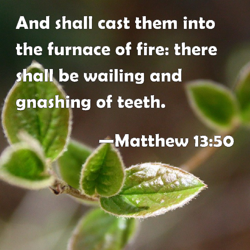 Matthew 13:50 And shall cast them into the furnace of fire: there shall ...