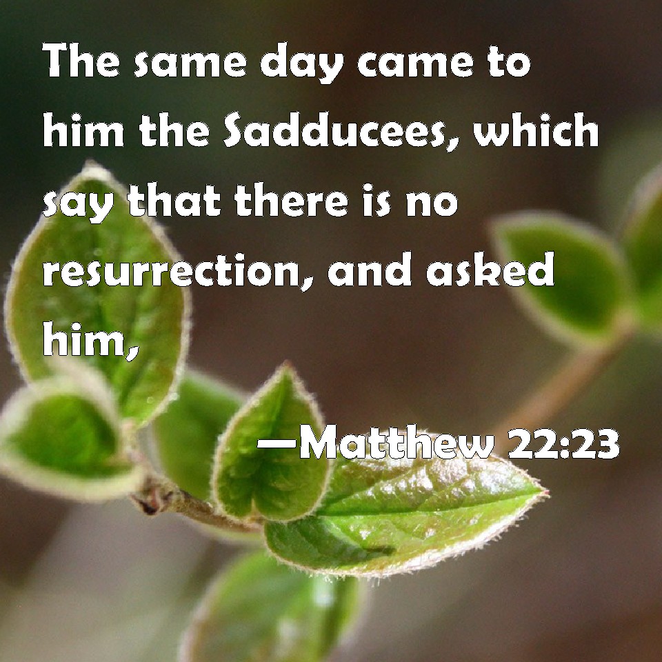 matthew-22-23-the-same-day-came-to-him-the-sadducees-which-say-that