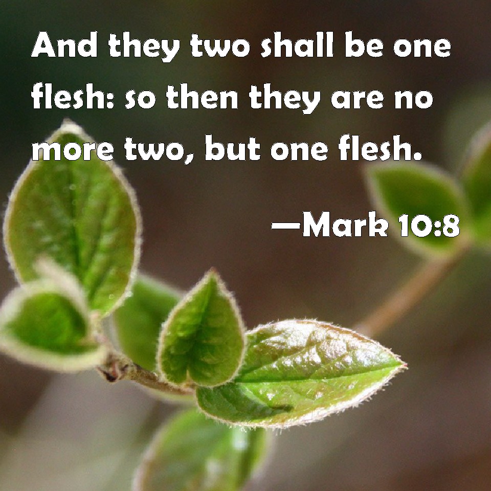 Mark 10:8 And They Two Shall Be One Flesh: So Then They Are No More Two ...