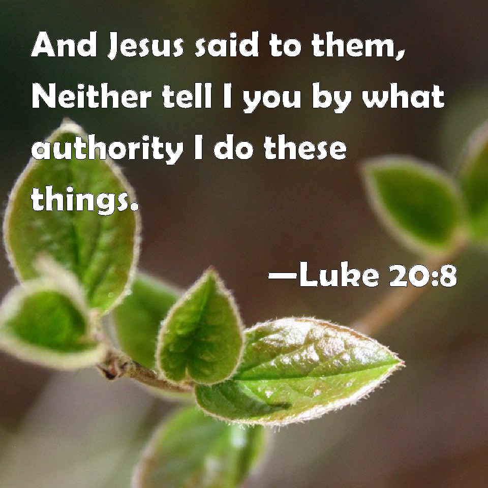 Luke 208 And Jesus Said To Them Neither Tell I You By What Authority I Do These Things 