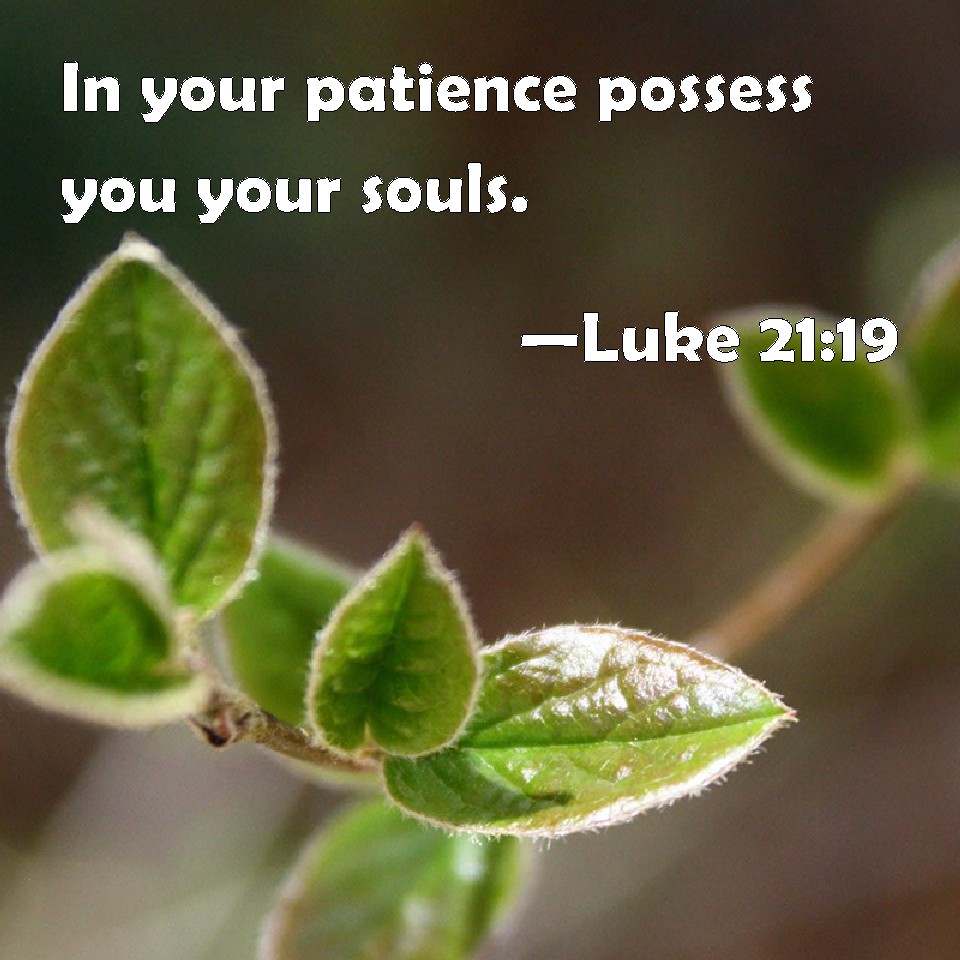 Luke 21:19 In your patience possess you your souls.