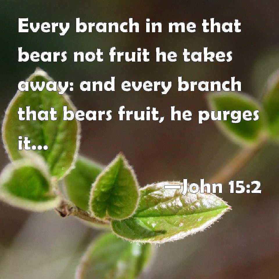 john-15-2-every-branch-in-me-that-bears-not-fruit-he-takes-away-and