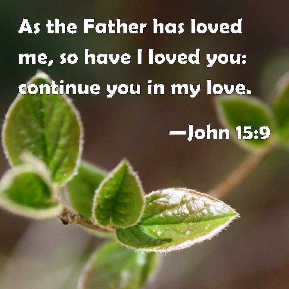 John 159 As the Father has loved me, so have I loved you continue you