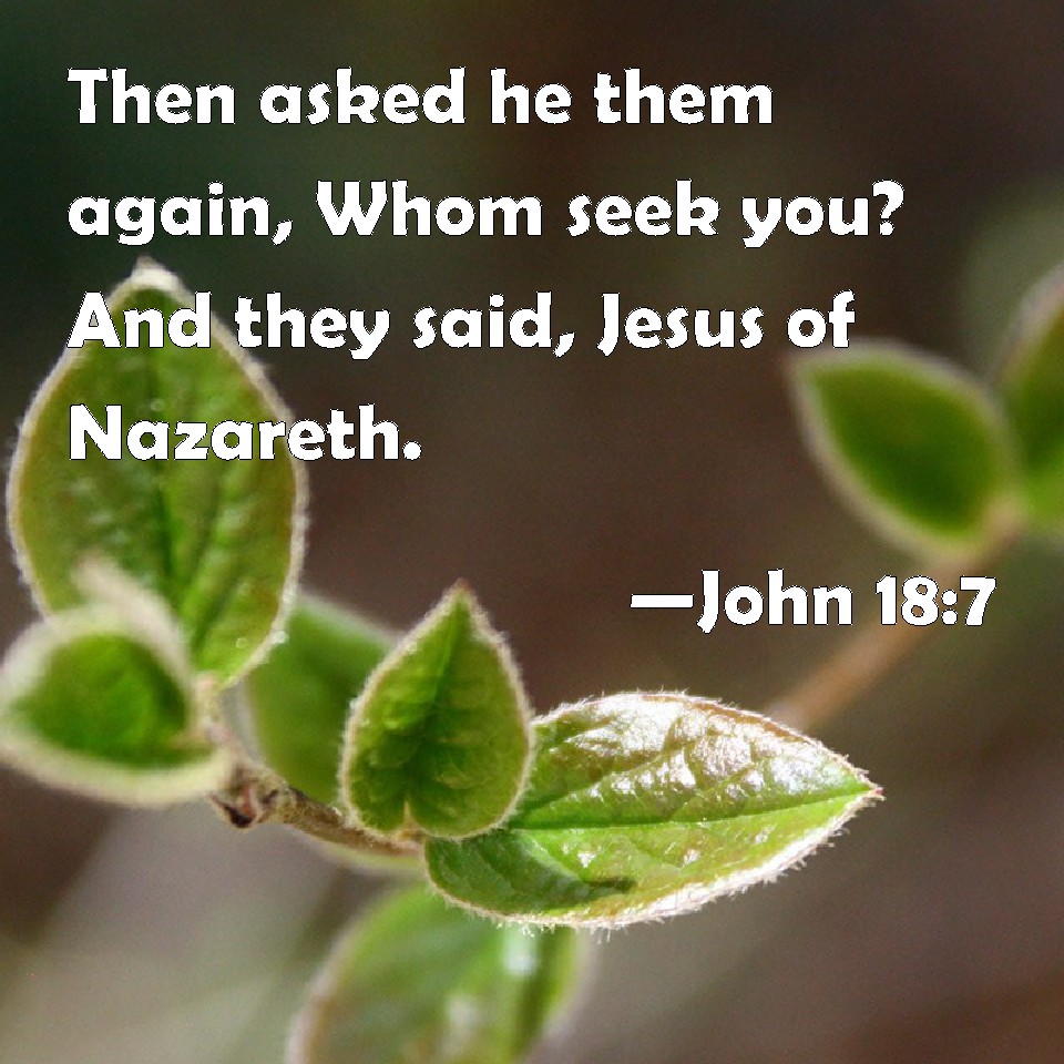 john-18-7-then-asked-he-them-again-whom-seek-you-and-they-said-jesus