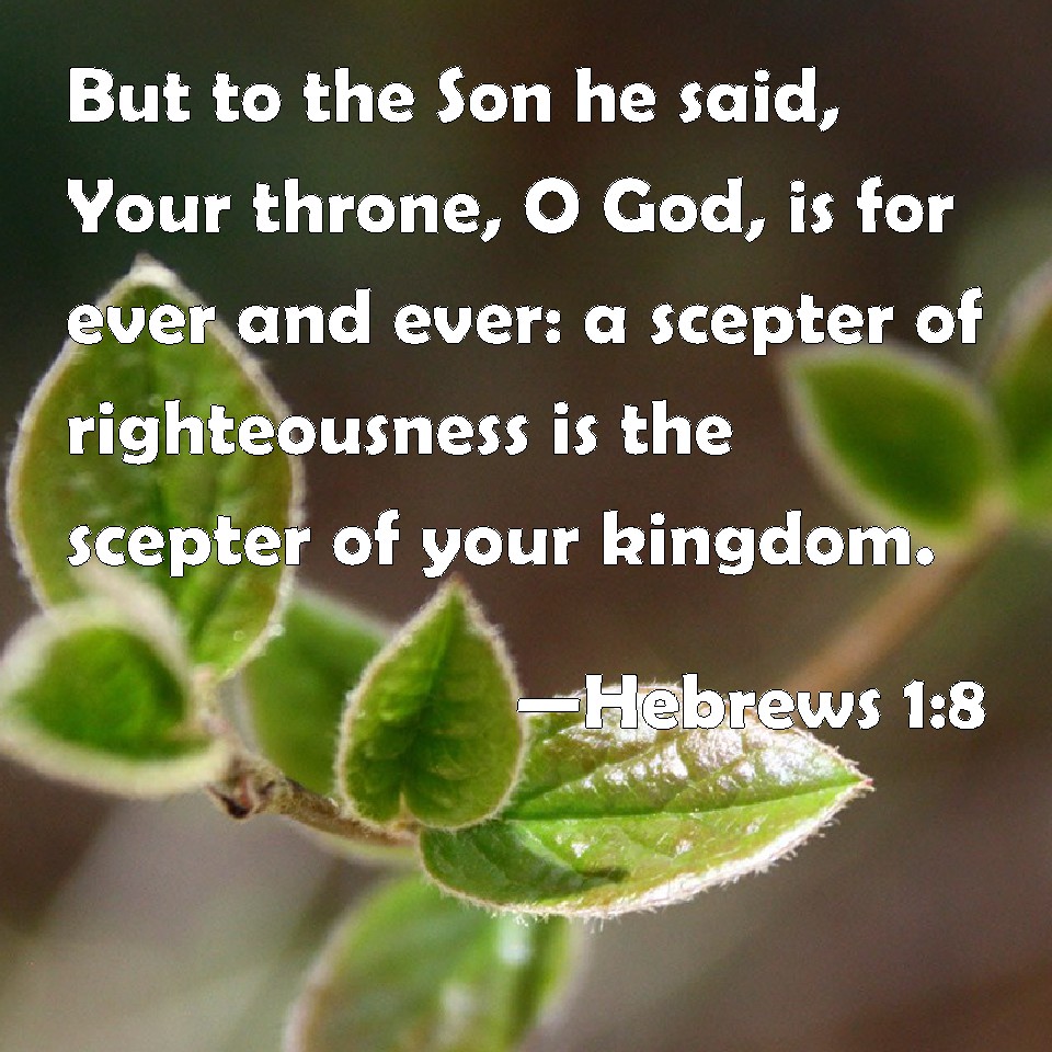 Hebrews 1:8 But to the Son he said, Your throne, O God, is for ...