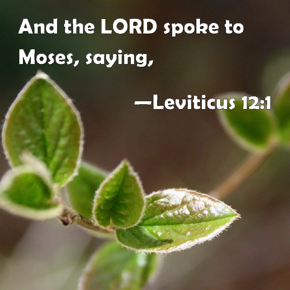 Leviticus 12:1 And The LORD Spoke To Moses, Saying,