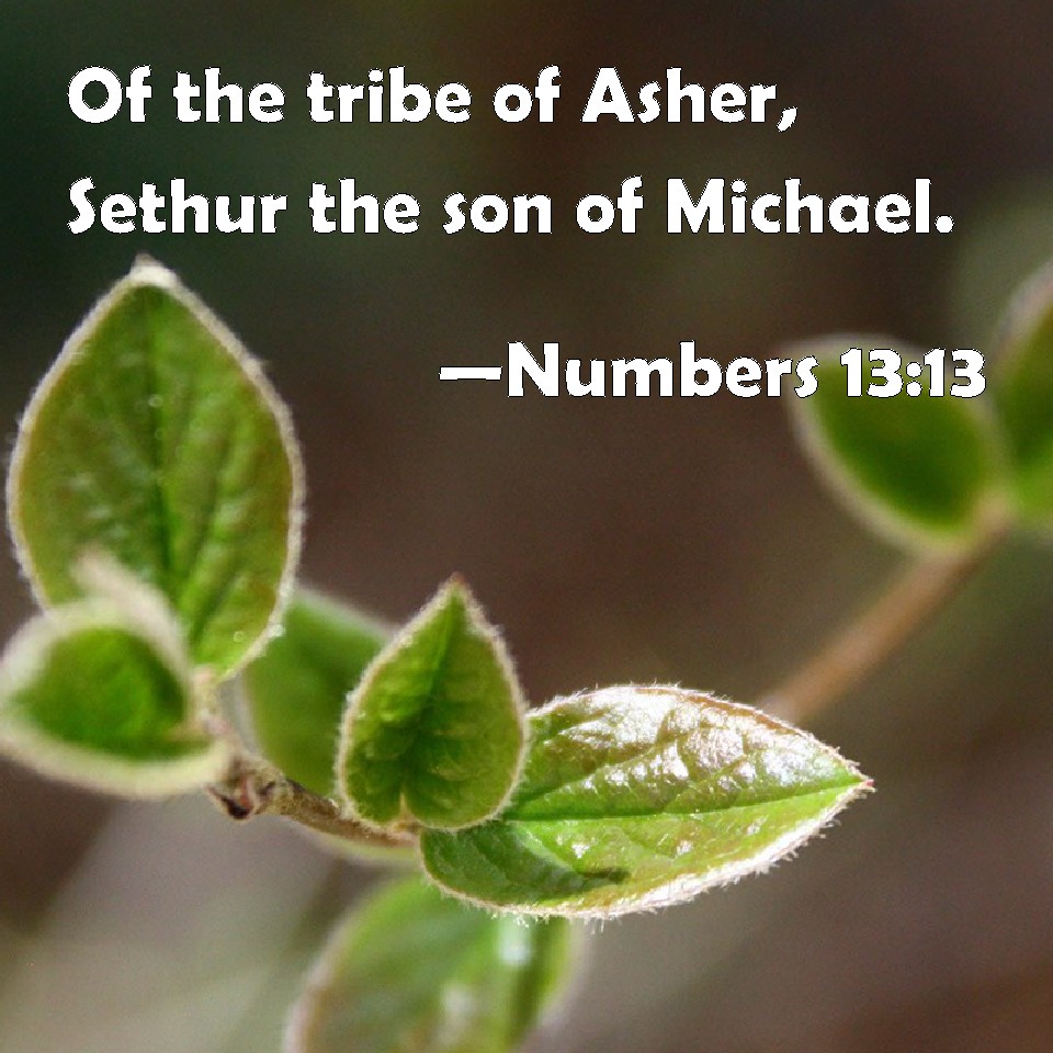 numbers-13-13-of-the-tribe-of-asher-sethur-the-son-of-michael
