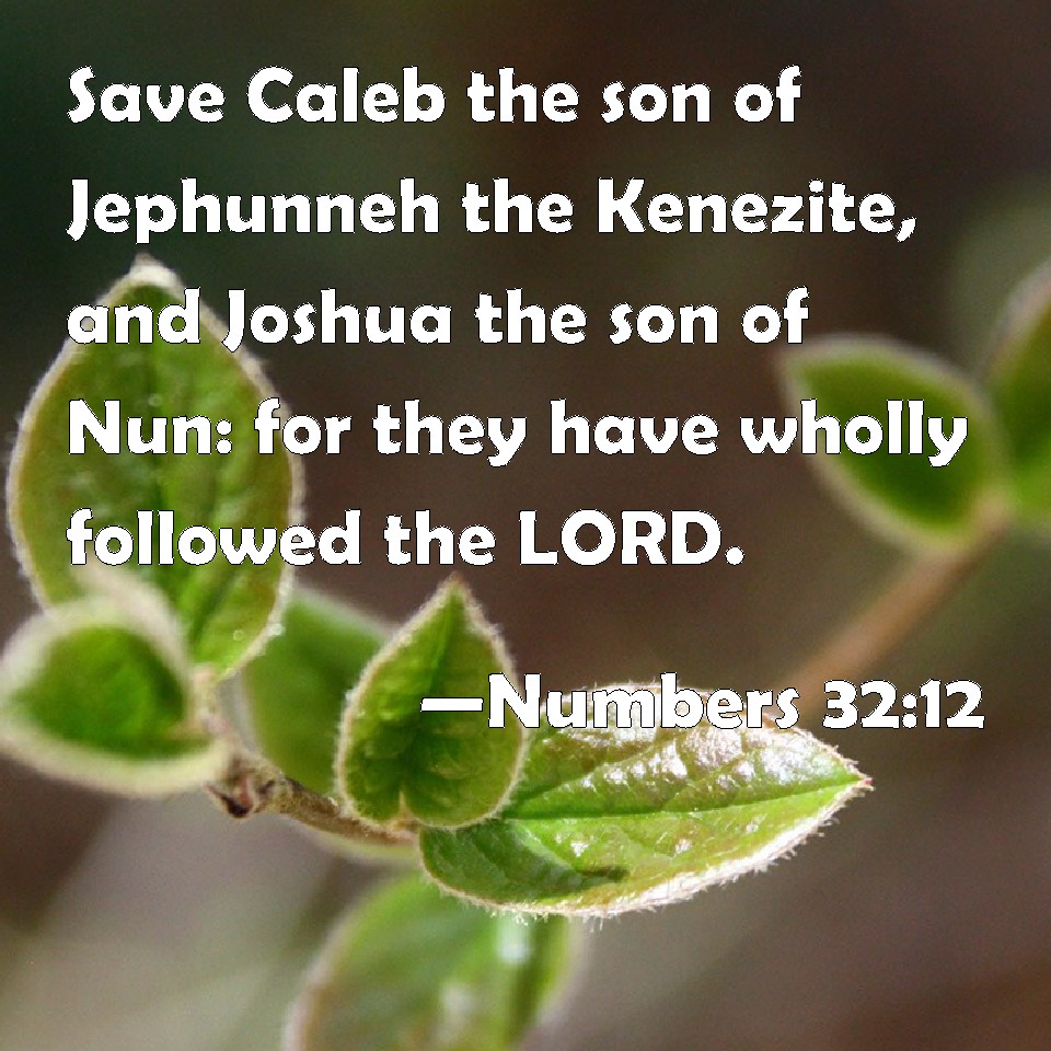 Numbers 32:12 Save Caleb the son of Jephunneh the Kenezite, and Joshua ...