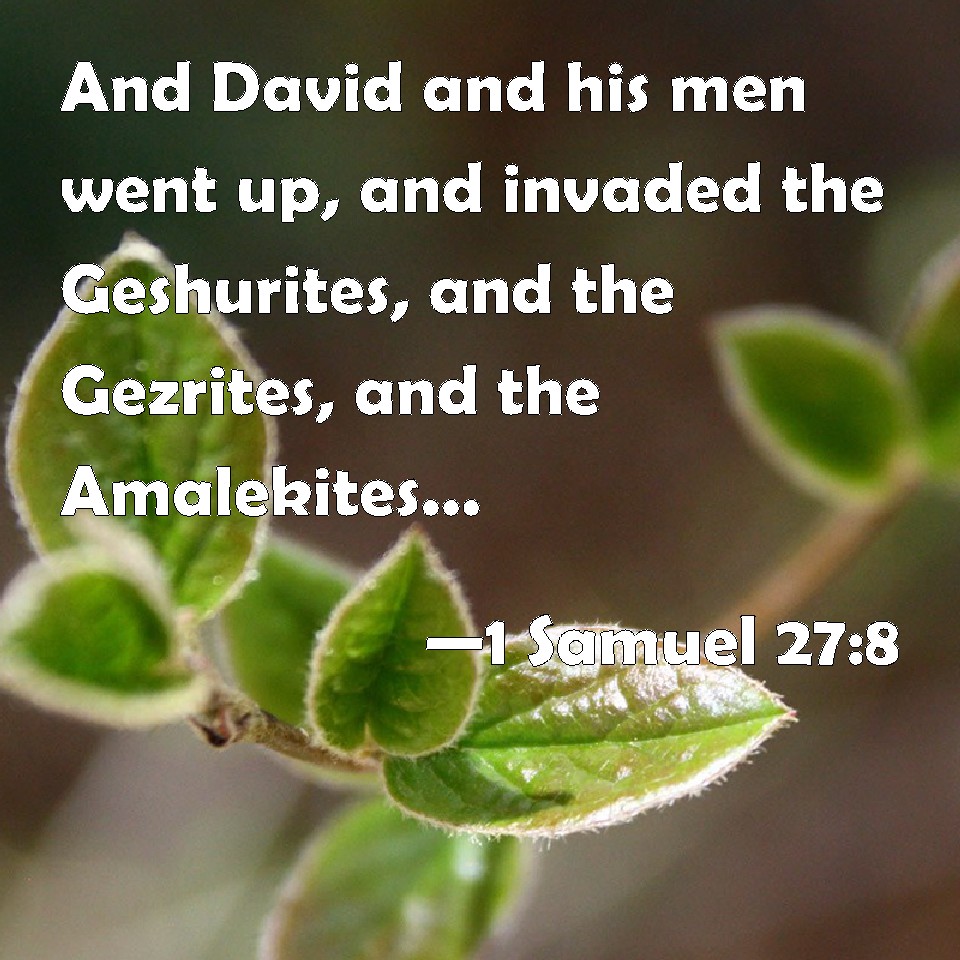 1 Samuel 278 And David and his men went up, and invaded