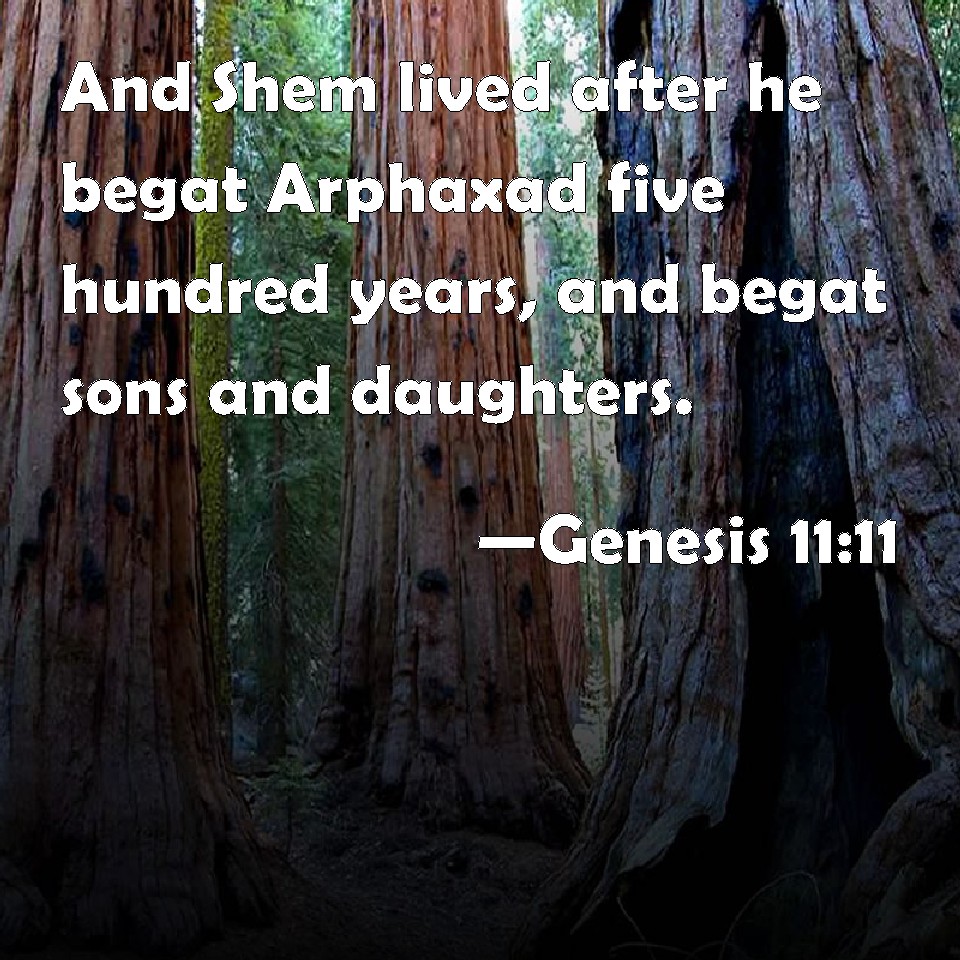 Genesis 1111 And Shem Lived After He Begat Arphaxad Five Hundred Years