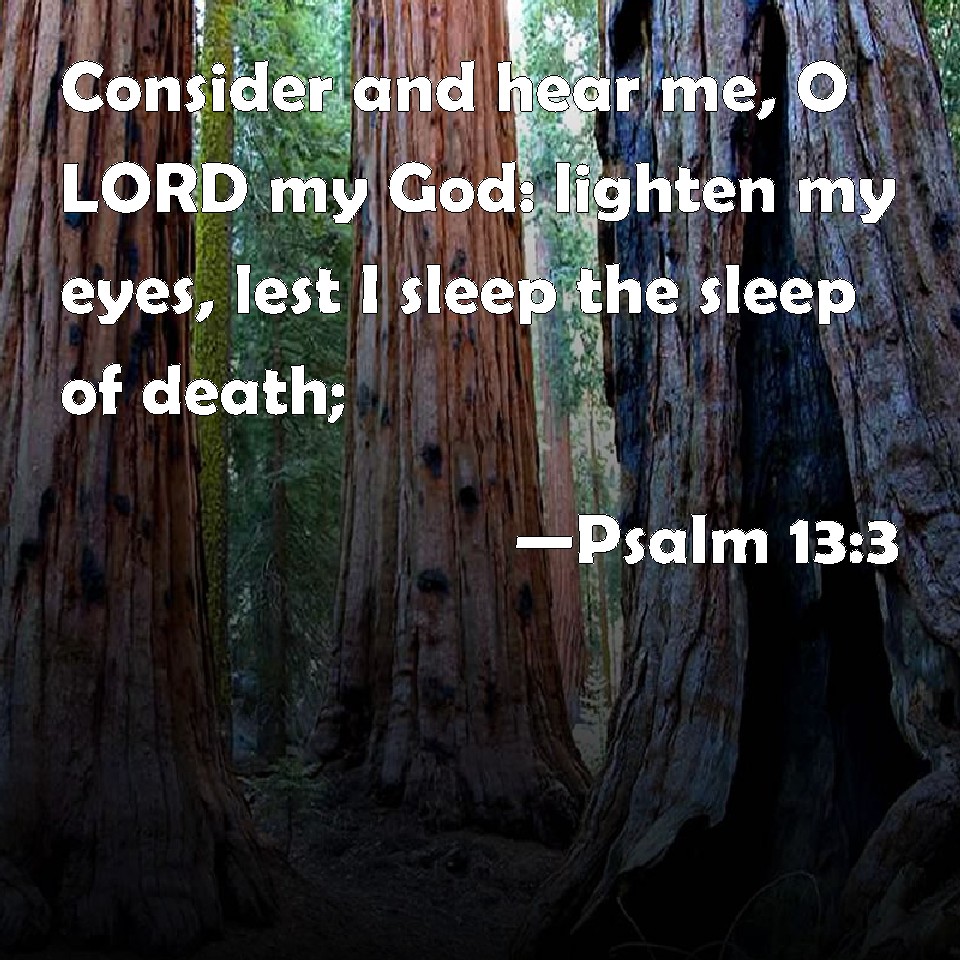 Psalm 13:3 Consider and hear me, O LORD my God: lighten my eyes, lest I  sleep the sleep of death;