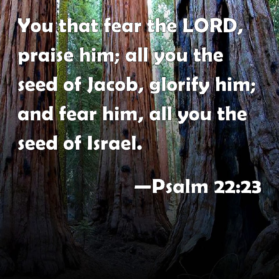 psalm-22-23-you-that-fear-the-lord-praise-him-all-you-the-seed-of