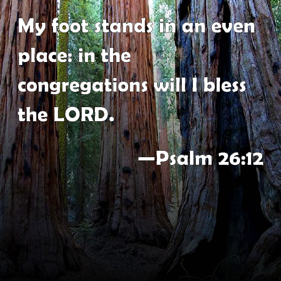 psalm-26-12-my-foot-stands-in-an-even-place-in-the-congregations-will