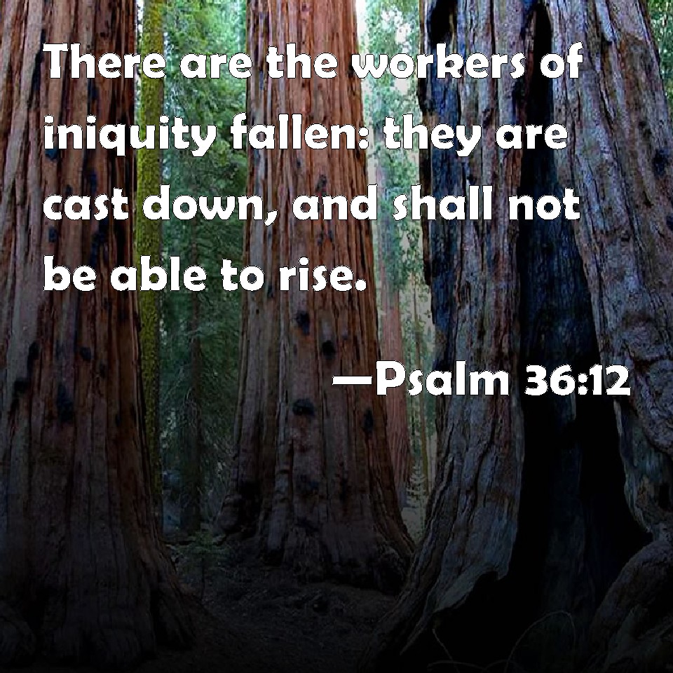 psalm-36-12-there-are-the-workers-of-iniquity-fallen-they-are-cast