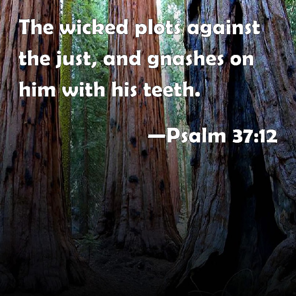 psalm-37-12-the-wicked-plots-against-the-just-and-gnashes-on-him-with